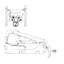 Cat 267 & 277 Hose - to Loader Bucket Tilt Cylinders -