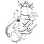 Bobcat 953 Hose - to Loader Bucket Tilt Cylinders -